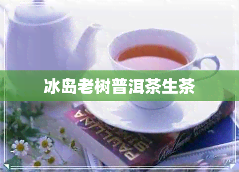 冰岛老树普洱茶生茶