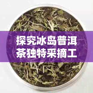 探究冰岛普洱茶独特采摘工艺的标准要求