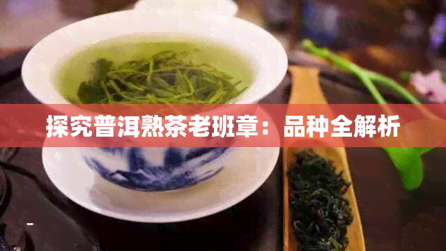 探究普洱熟茶老班章：品种全解析