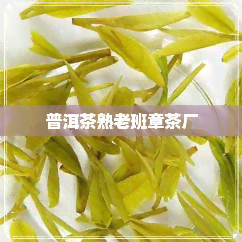 普洱茶熟老班章茶厂