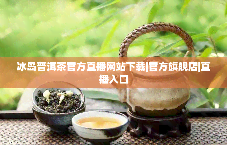 冰岛普洱茶官方直播网站下载|官方旗舰店|直播入口