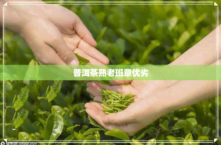 普洱茶熟老班章优劣