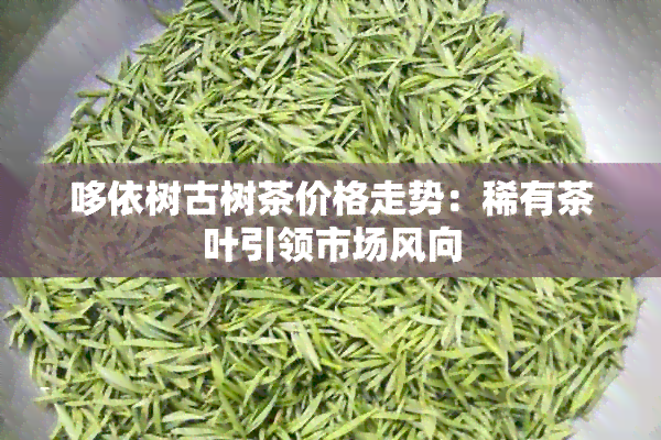 哆依树古树茶价格走势：稀有茶叶引领市场风向