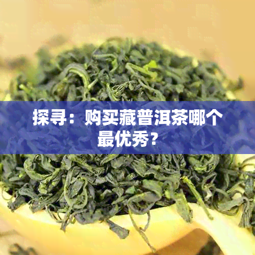 探寻：购买藏普洱茶哪个更优秀？