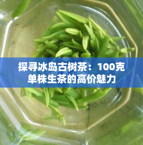 探寻冰岛古树茶：100克单株生茶的高价魅力