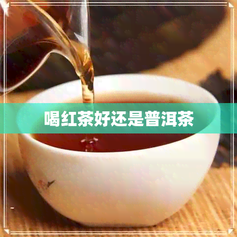 喝红茶好还是普洱茶