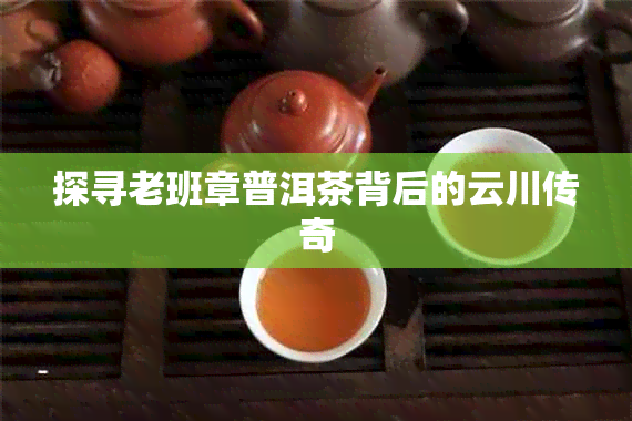 探寻老班章普洱茶背后的云川传奇