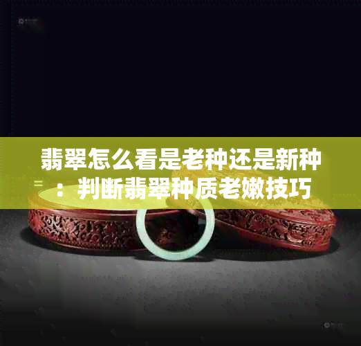 翡翠怎么看是老种还是新种：判断翡翠种质老嫩技巧