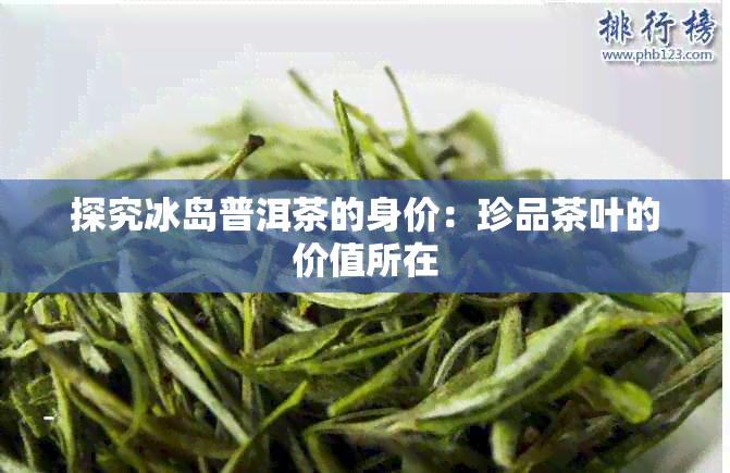 探究冰岛普洱茶的身价：珍品茶叶的价值所在