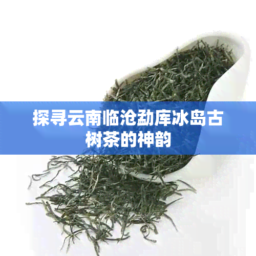 探寻云南临沧勐库冰岛古树茶的神韵