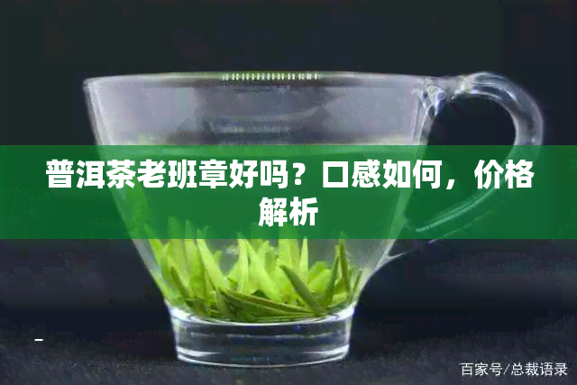 普洱茶老班章好吗？口感如何，价格解析