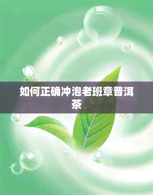 如何正确冲泡老班章普洱茶