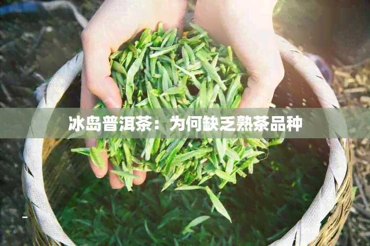 冰岛普洱茶：为何缺乏熟茶品种