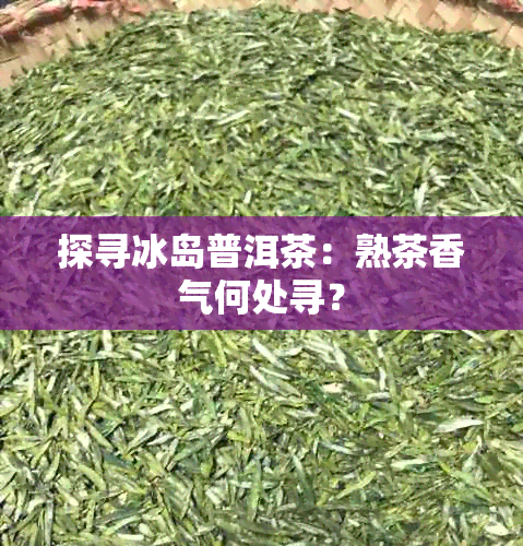 探寻冰岛普洱茶：熟茶香气何处寻？