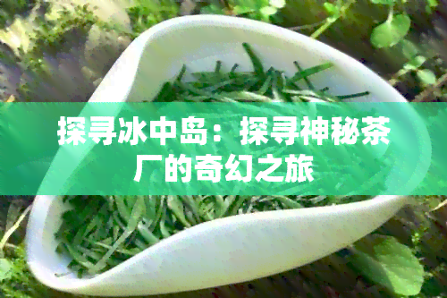 探寻冰中岛：探寻神秘茶厂的奇幻之旅