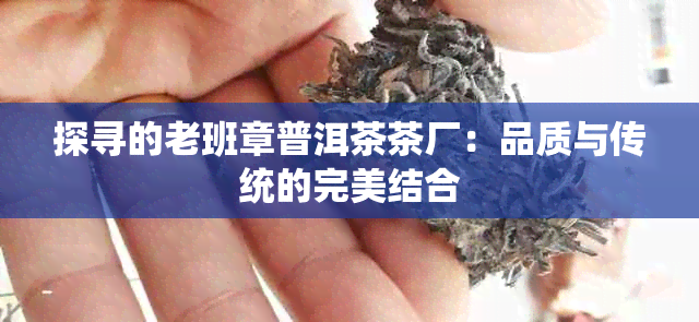 探寻的老班章普洱茶茶厂：品质与传统的完美结合