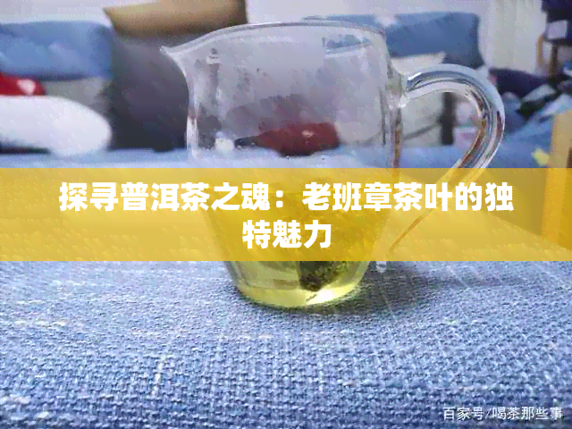 探寻普洱茶之魂：老班章茶叶的独特魅力