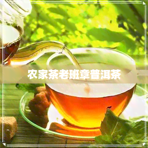 农家茶老班章普洱茶