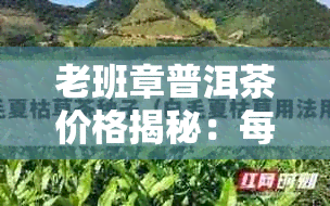 老班章普洱茶价格揭秘：每斤多少钱？