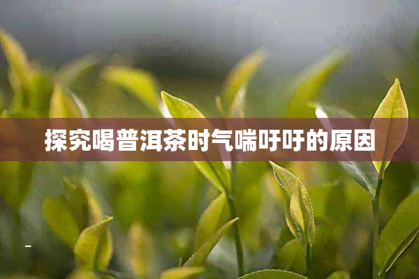 探究喝普洱茶时气喘吁吁的原因