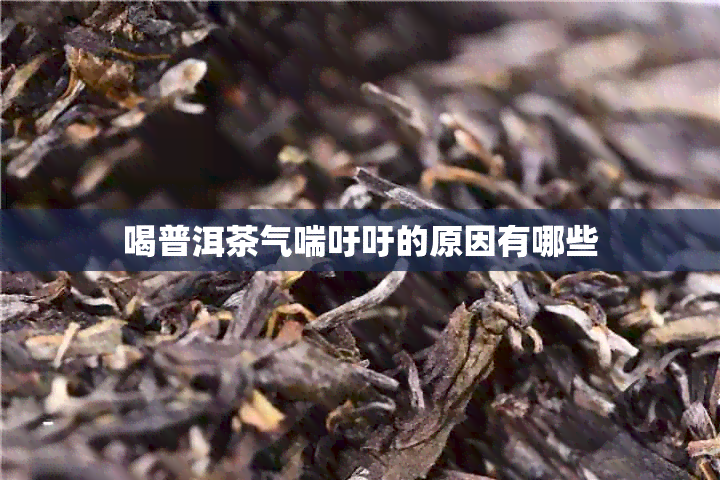 喝普洱茶气喘吁吁的原因有哪些