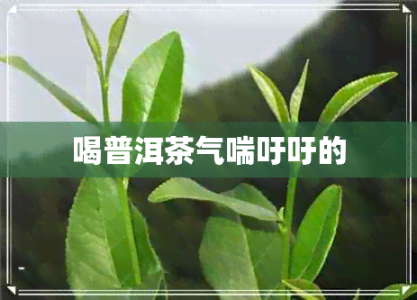 喝普洱茶气喘吁吁的