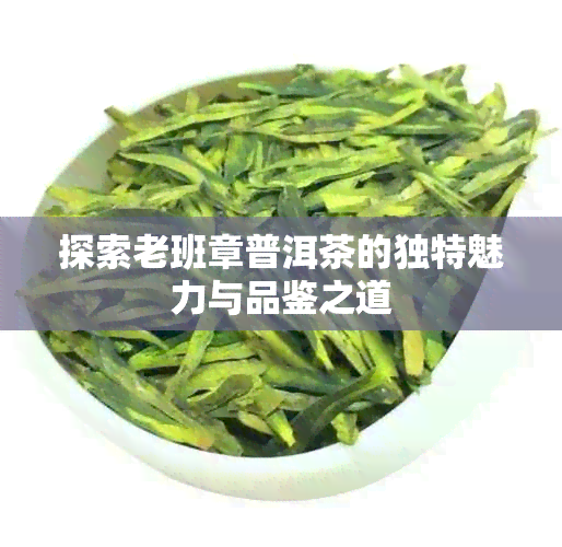 探索老班章普洱茶的独特魅力与品鉴之道