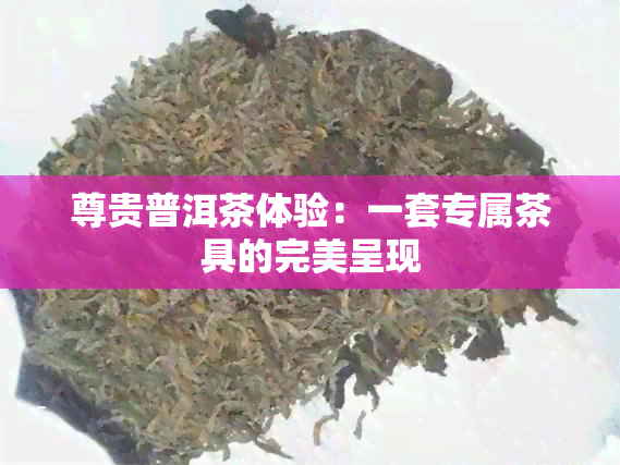 尊贵普洱茶体验：一套专属茶具的完美呈现