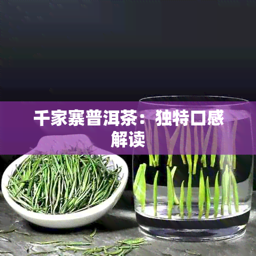 千家寨普洱茶：独特口感解读