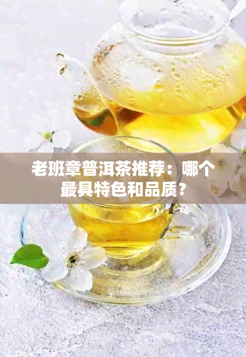 老班章普洱茶推荐：哪个更具特色和品质？