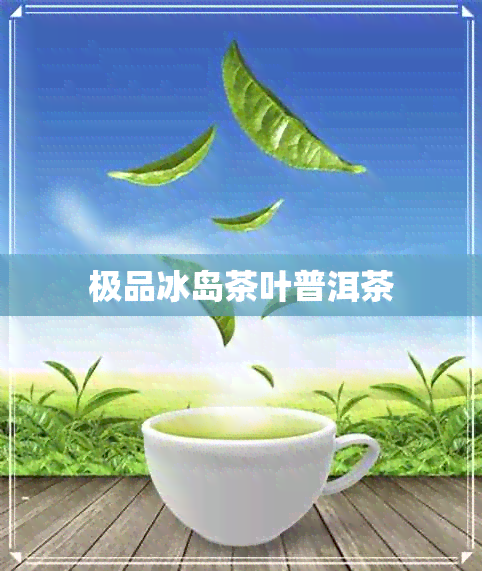 极品冰岛茶叶普洱茶