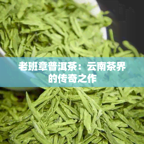 老班章普洱茶：云南茶界的传奇之作