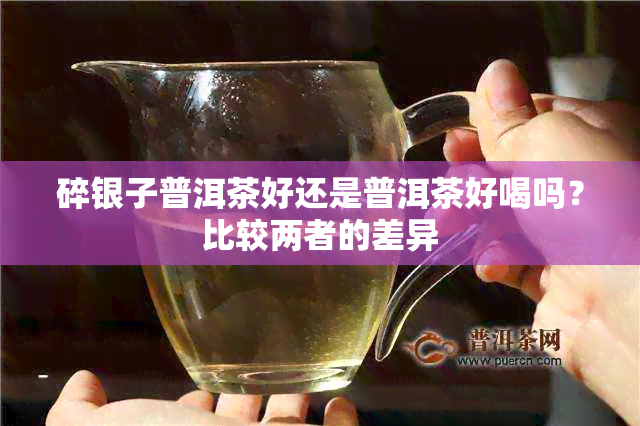 碎银子普洱茶好还是普洱茶好喝吗？比较两者的差异