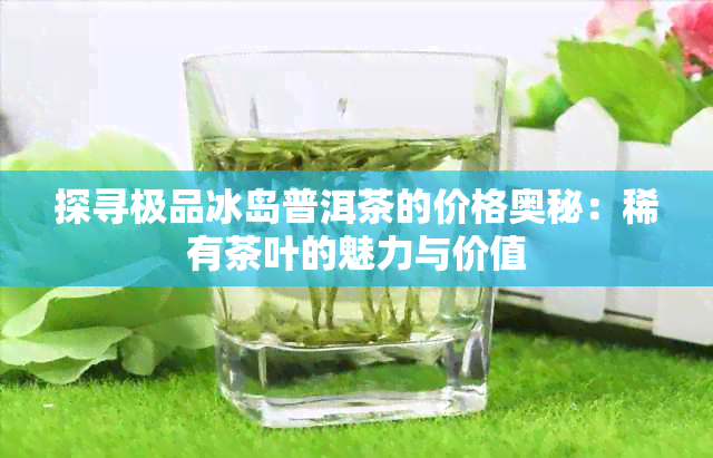 探寻极品冰岛普洱茶的价格奥秘：稀有茶叶的魅力与价值