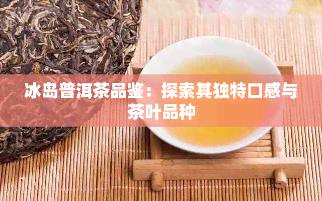 冰岛普洱茶品鉴：探索其独特口感与茶叶品种