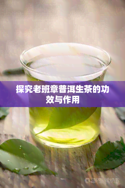 探究老班章普洱生茶的功效与作用