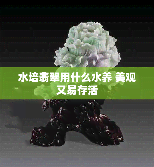 水培翡翠用什么水养 美观又易存活