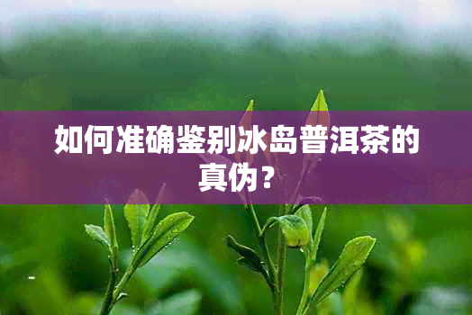 如何准确鉴别冰岛普洱茶的真伪？