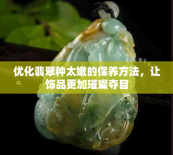 优化翡翠种太嫩的保养方法，让饰品更加璀璨夺目