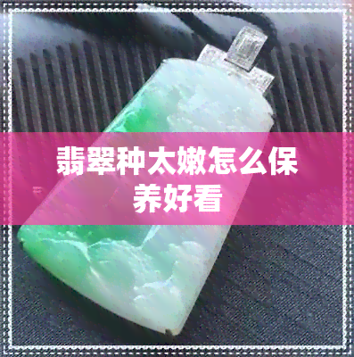 翡翠种太嫩怎么保养好看