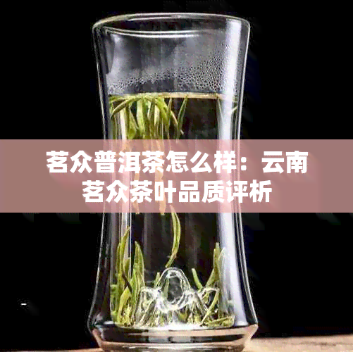 茗众普洱茶怎么样：云南茗众茶叶品质评析