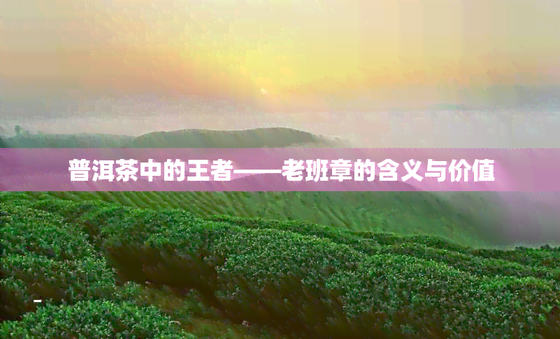 普洱茶中的王者——老班章的含义与价值