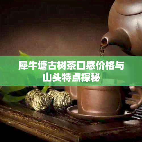 犀牛塘古树茶口感价格与山头特点探秘