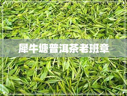 犀牛塘普洱茶老班章