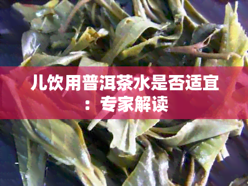 儿饮用普洱茶水是否适宜：专家解读