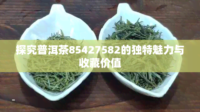 探究普洱茶85427582的独特魅力与收藏价值