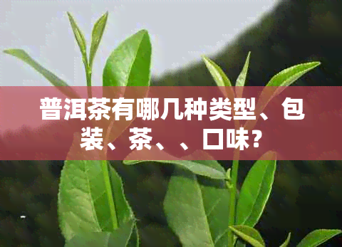 普洱茶有哪几种类型、包装、茶、、口味？