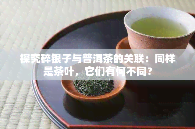 探究碎银子与普洱茶的关联：同样是茶叶，它们有何不同？