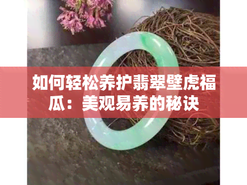 如何轻松养护翡翠壁虎福瓜：美观易养的秘诀