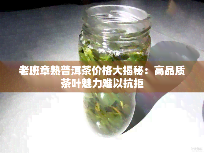 老班章熟普洱茶价格大揭秘：高品质茶叶魅力难以抗拒